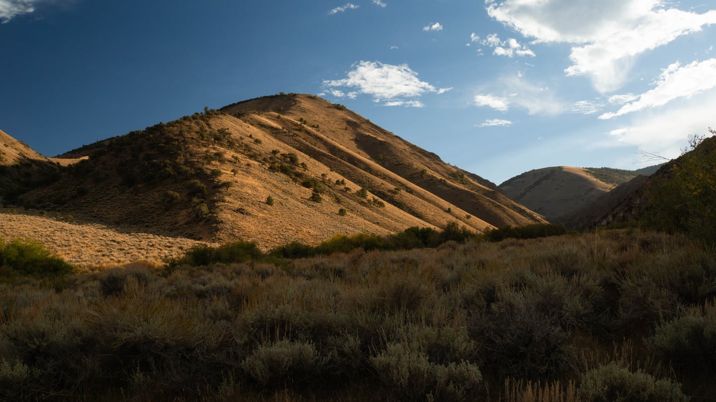 Arc Dome summit landscape