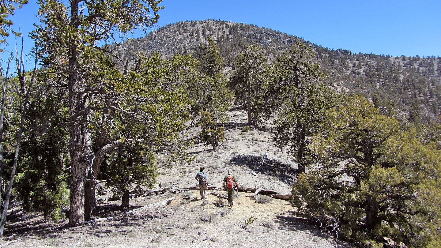 Hayford Peak summit landscape